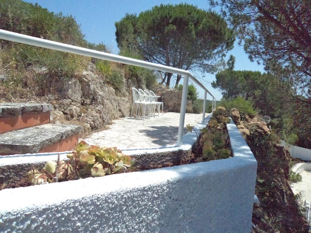 Villa Branca Do Castelo Sesimbra Kültér fotó